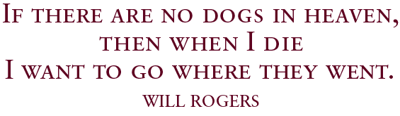 If there are no dogs in heaven, then when I die I want to go where they went. —Will Rogers